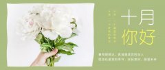 合作經(jīng)營，共負盈虧，原您在最美的季節(jié)，收獲美好，展望未來